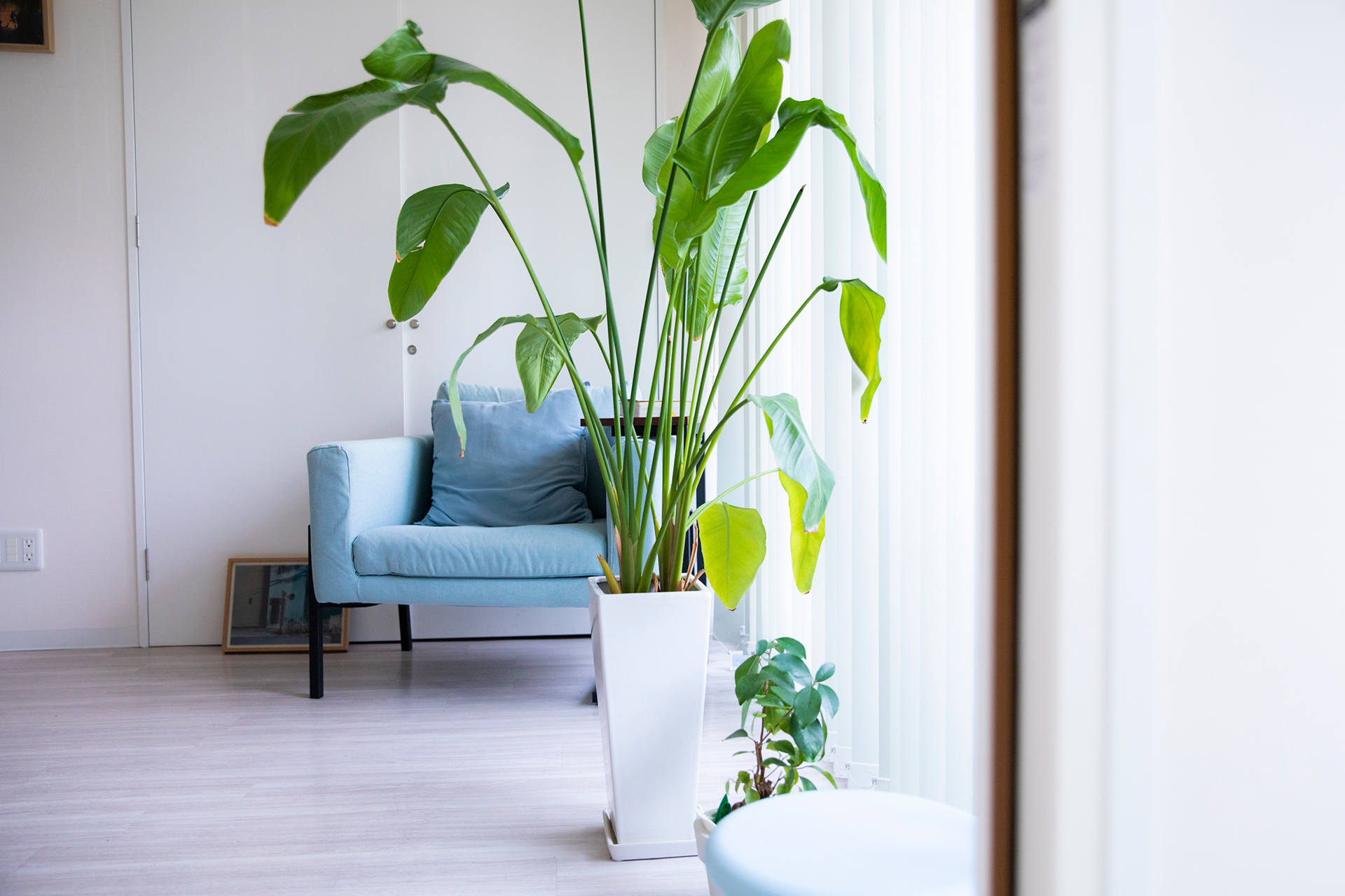 個室の爽やかなブルーのソファ